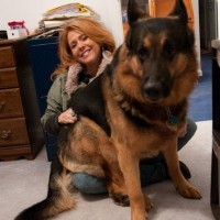 In Laura's home office and her huge baby, Gunner found my lap the best seat in the house!