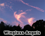 Wingless Angels on FaceBook