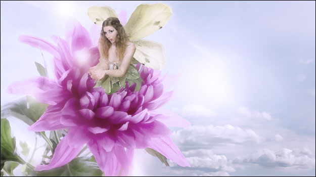 contact vicki monroe